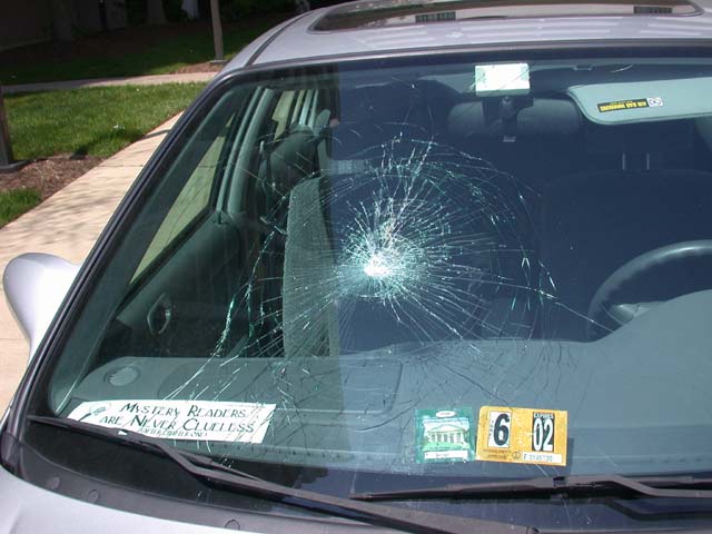 windshield1.jpg